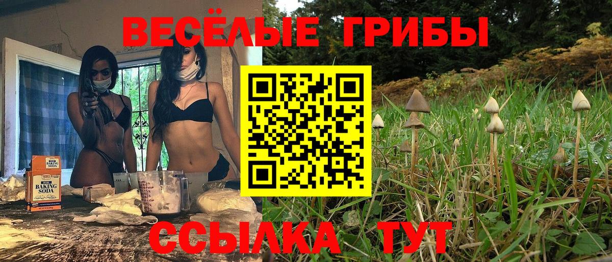 Сургут  Галлюциногенные грибы GOLDEN TEACHER  Галлюциногенные грибы ЛСД  Вход с VPN 