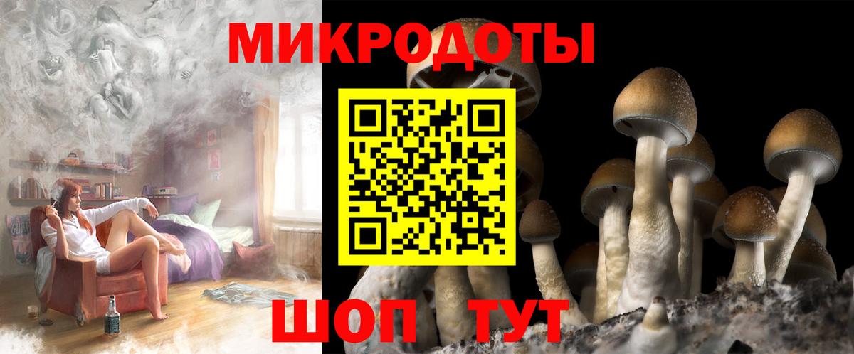 Галлюциногенные грибы MAGIC MUSHROOMS Сургут